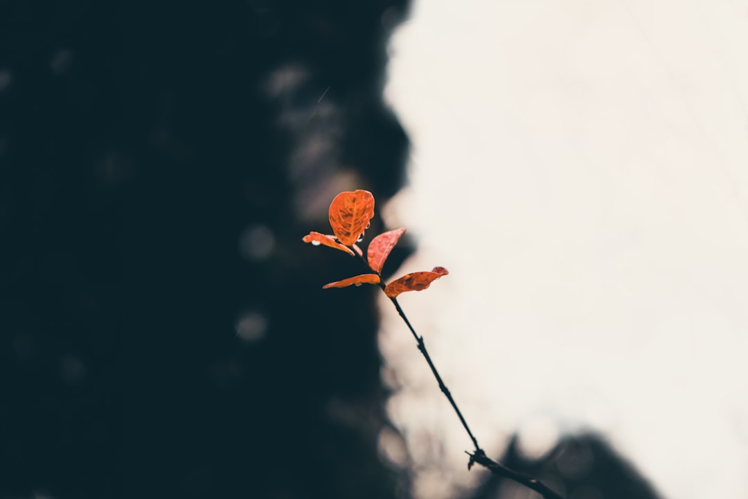 vive-verde-tu-gu-a-para-un-impacto-positivo-1756599316181