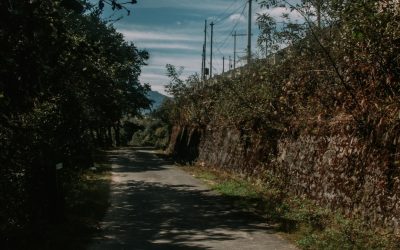 Cómo Ganar Dinero en el Metaverso: Métodos Realistas para 2025 y Más Allá