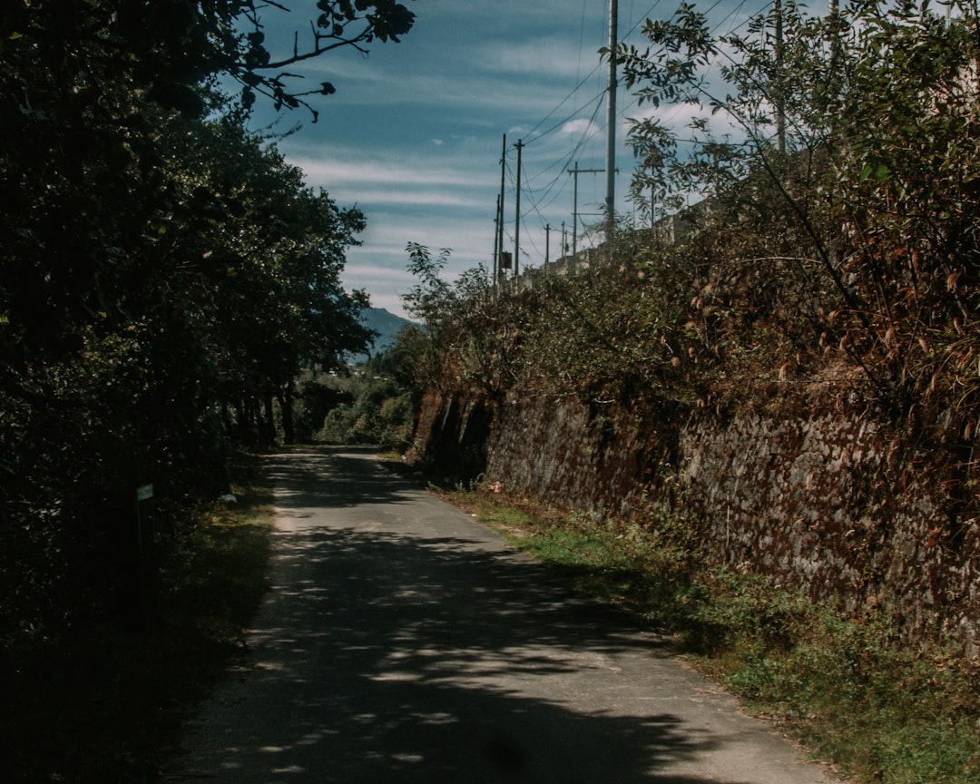 c-mo-ganar-dinero-en-el-metaverso-m-todos-realistas-para-2025-y-m-s-all-1758554099891