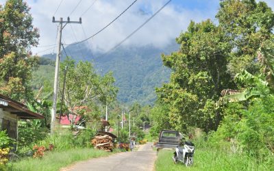Descubre el Ecoturismo: Viaja Sostenible y Deja Huella Positiva