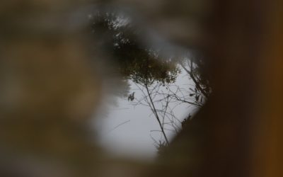 ¡Descubre los 20 Destinos de Viaje Escondidos que Arrasan en Redes Sociales en 2025!