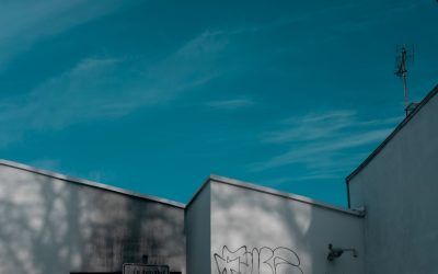 Descubre los Superalimentos Más Populares del Mundo: Tendencias y Beneficios para 2025