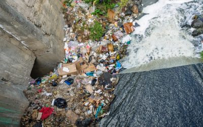 Domina el Arte del Orden: Consejos Esenciales de Organización, Almacenamiento y Limpieza para 2025