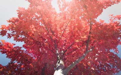 Domina el Estrés: Guía Completa de Meditación y Técnicas de Respiración para la Calma Interior