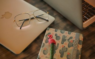 Dominando la Monetización de Blogs: SEO, AdSense y Estrategias de Ingresos