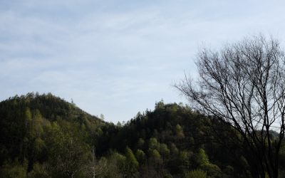 Ecoturismo: Tu Guía para Viajes Conscientes