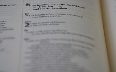 El Experimento de Dominar el Inglés con Solo 1 Hora al Día: ¿Es Posible en 2025?