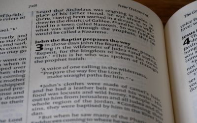 ¿Es Posible Dominar el Inglés con Solo 1 Hora al Día? Un Experimento Real para 2025