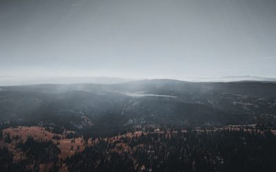 Guía Definitiva de los Superalimentos Más Populares del Mundo en 2025