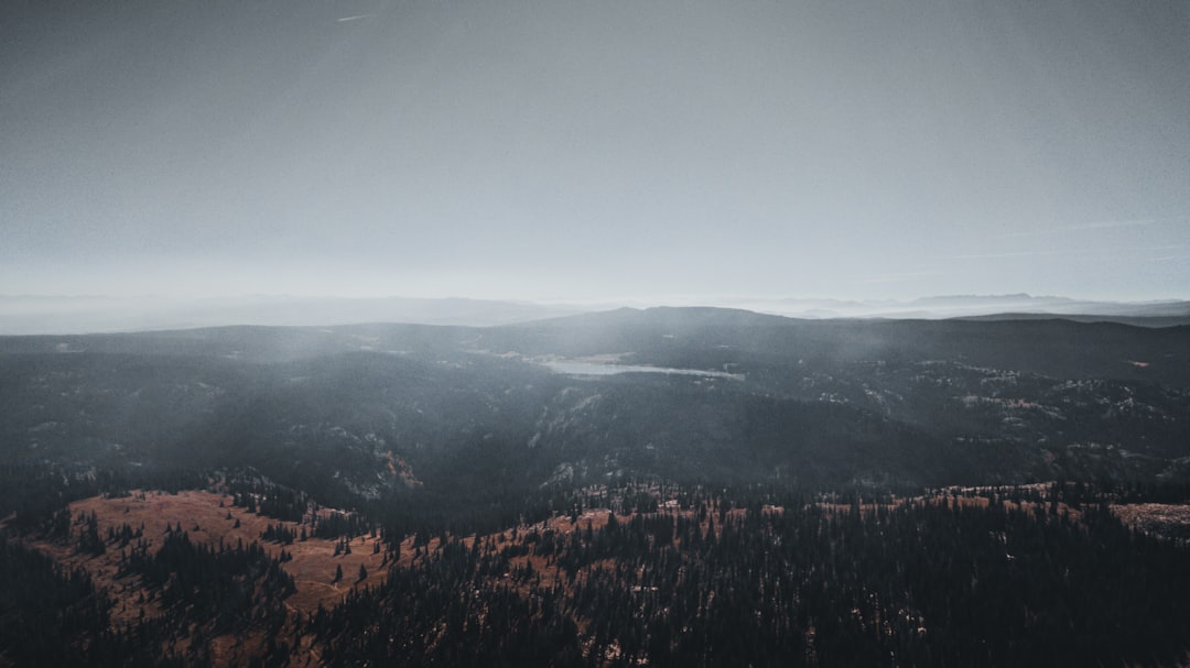 gu-a-definitiva-de-los-superalimentos-m-s-populares-del-mundo-en-2025-1758294932842