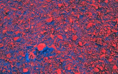 Métodos Científicos para Estudiar Mejor: ¡Domina el Aprendizaje en 2025!