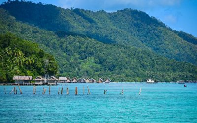 Turismo Sostenible: Viajes con Impacto Positivo