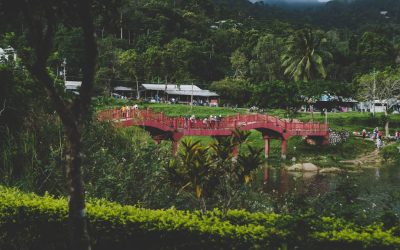 Viajes Sostenibles: Impacto Positivo al Explorar