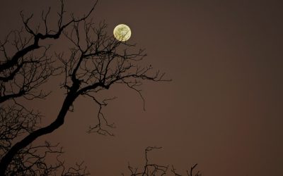 10 Impactos Sorprendentes de la Privación del Sueño en tu Cuerpo