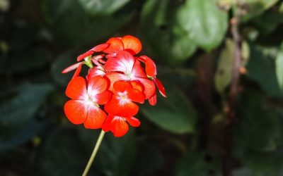 10 Métodos Científicos para Potenciar tu Concentración en 2025