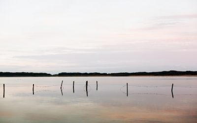 Desbloquea la Calma: Métodos Científicos para Reducir el Estrés en 2025