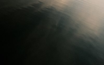 Descubre los Superalimentos Más Populares del Mundo en 2025: Tu Guía Definitiva para una Vida Saludable