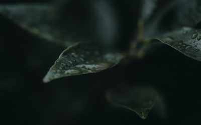 Domina el Aprendizaje: Métodos Científicos para Estudiar Mejor en 2025