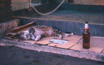 Domina tu Tiempo y Potencia tu Enfoque: Estrategias Actualizadas para 2025