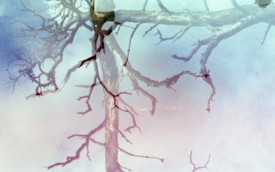 Enfoques Psicológicos para Romper Malos Hábitos: Una Guía Actualizada para 2025