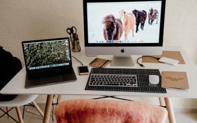 Estrategias Prácticas para Aumentar tus Ingresos como Freelancer en 2025