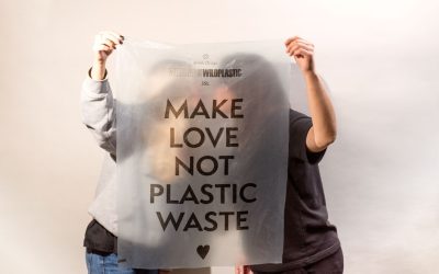 Guía para Empezar una Vida Zero Waste: Tu Primer Paso Hacia un Futuro Sostenible