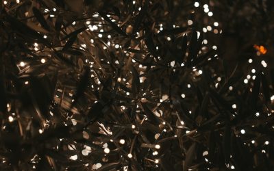 Los Secretos de la Longevidad: Hábitos de las Personas Más Saludables y Longevas del Mundo