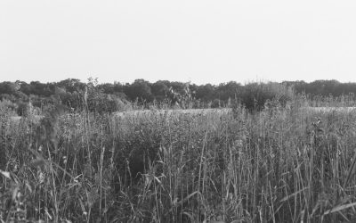 Meditación: El Camino Hacia la Sanación Integral de Cuerpo y Mente