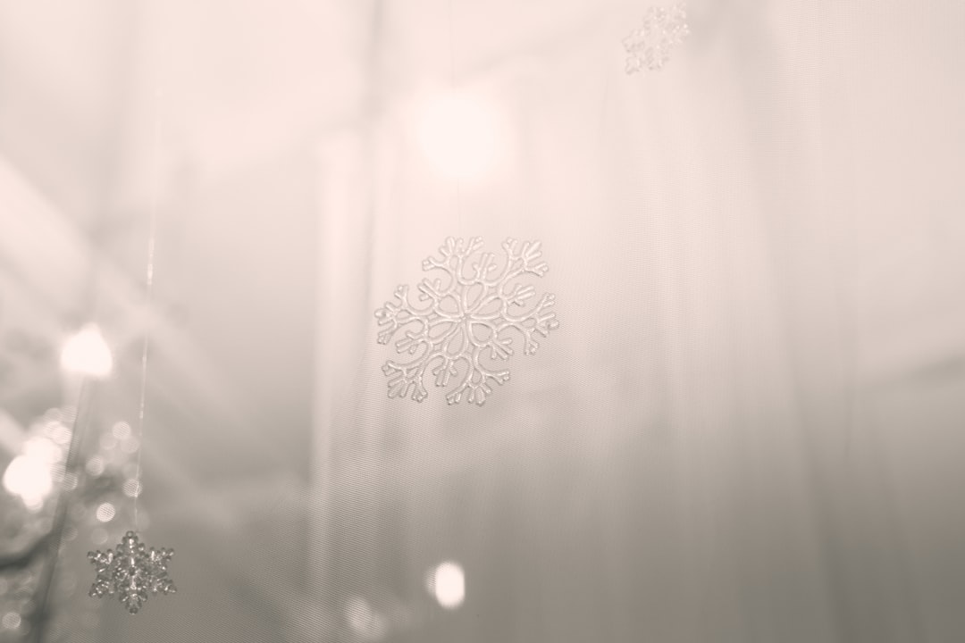 desbloquea-el-potencial-tu-blog-rentable-con-wordpress-en-2025-1762679705521