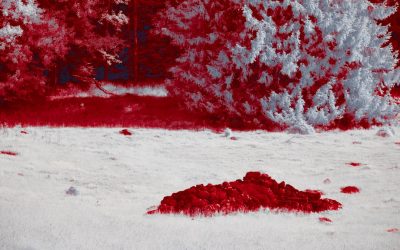 Mitos y Realidades de la Compatibilidad de Grupos Sanguíneos: Lo que Debes Saber en 2025