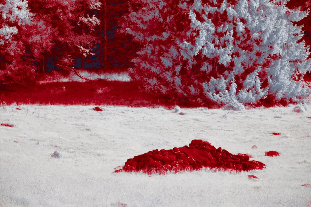 mitos-y-realidades-de-la-compatibilidad-de-grupos-sangu-neos-lo-que-debes-saber-en-2025-1763187294494