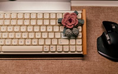 Transforma tu Pasión en Ganancias: La Guía Definitiva para un Blog Rentable con WordPress en 2025