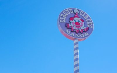 Domina Google en 2025: La Guía Definitiva para Posicionar tu Blog en la Cima 🚀