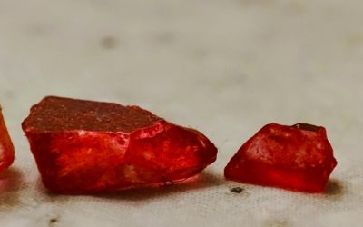 El Misterio de la Sangre: ¿Tu Grupo Sanguíneo Define Tu Personalidad y Compatibilidad?