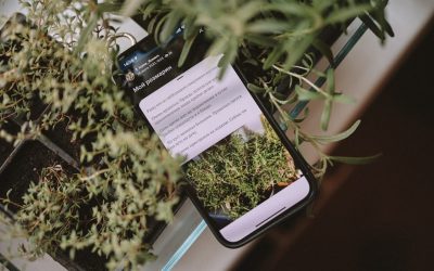 Explorando el Mundo a Través del Paladar: Destinos Gastronómicos y Consejos para Foodies Viajeros en 2025-2026