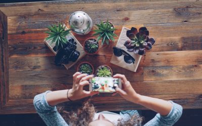 Guía Definitiva para Convertirse en un Influencer Exitoso en 2025-2026: Estrategias en YouTube, Instagram, TikTok y Facebook