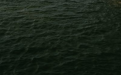 La Fascinación por los Grupos Sanguíneos y la Personalidad: ¿Mito o Realidad?