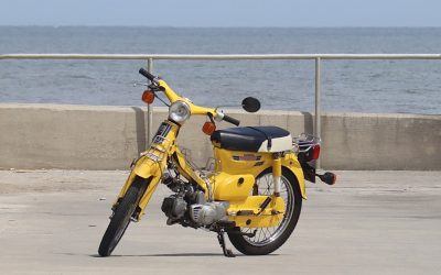 MBTI y Compatibilidad: Descifrando las Relaciones Personales en 2025