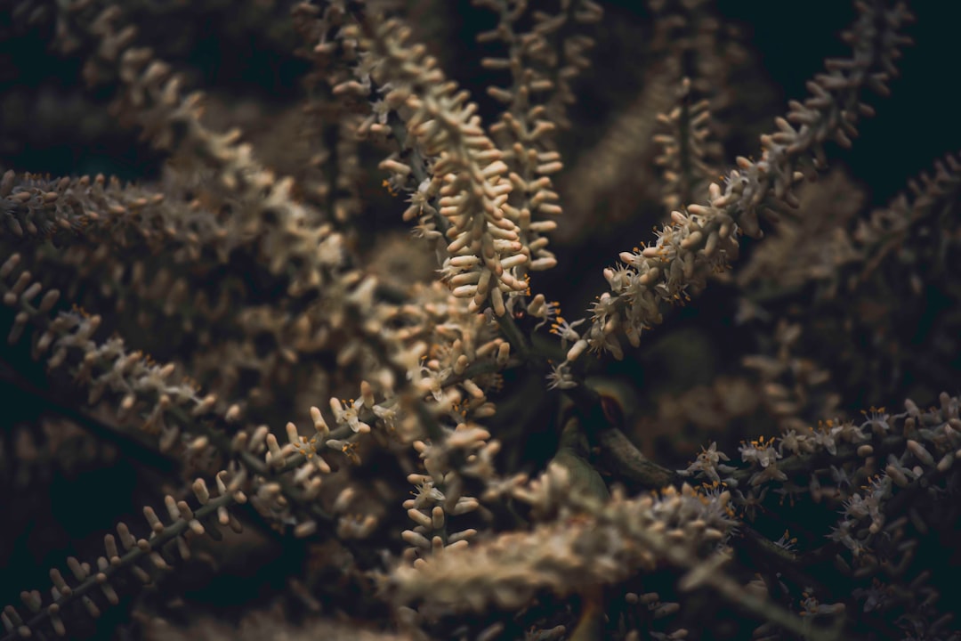 mbti-y-la-compatibilidad-en-las-relaciones-gu-a-definitiva-o-simple-herramienta-de-autoconocimiento-1765066488283