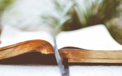 Scalping en FX: La Estrategia de Alta Velocidad para Ganar en el Mercado de Divisas