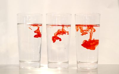 Tipos de Sangre: Entre Mitos Culturales y la Realidad Científica de su Importancia Vital