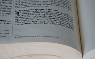 Arbitraje de Criptomonedas: Una Estrategia para Generar Ganancias en 2026