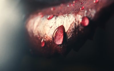 Compatibilidad de Grupos Sanguíneos: ¿Mito o Realidad Científica en el Amor y la Vida?