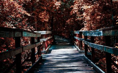 Compatibilidad Zodiacal: Descifrando las Conexiones Cósmicas en 2026