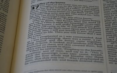 El Arbitraje de Criptomonedas en 2026: Estrategias para Navegar la Volatilidad y Generar Ganancias