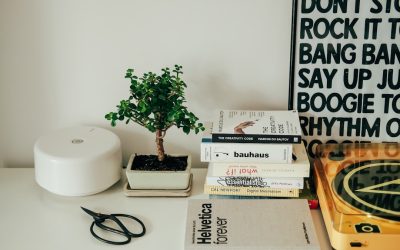 Transforma Tu Pasión en Ganancias: La Guía Definitiva para un Blog Rentable con WordPress en 2026