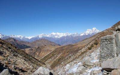 Tu Grupo Sanguíneo y la Salud: Descifrando los Secretos de tu Sangre