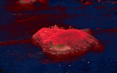 ¿Tu Tipo de Sangre Define Quién Eres? Desvelando el Misterio de la Personalidad y los Grupos Sanguíneos