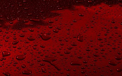 Compatibilidad de Grupos Sanguíneos: Desentrañando Mitos y Realidades Científicas en 2026