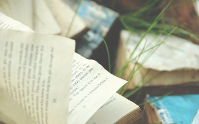 Conviértete en un Influencer Exitoso en 2026: Estrategias Clave para YouTube, Instagram y TikTok